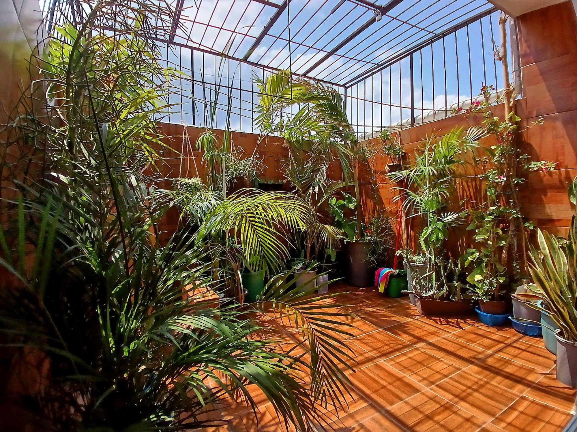 Casa Del Chef Lupita Villa แคมเปเช ภายนอก รูปภาพ